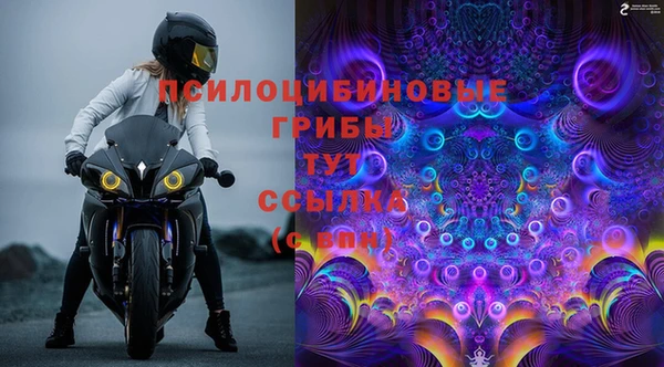 дмт Алексин