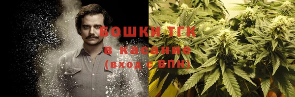дмт Алексин