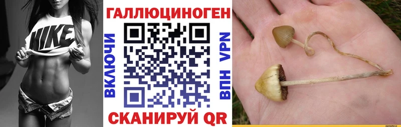 Галлюциногенные грибы мухоморы цены наркотик Лесосибирск