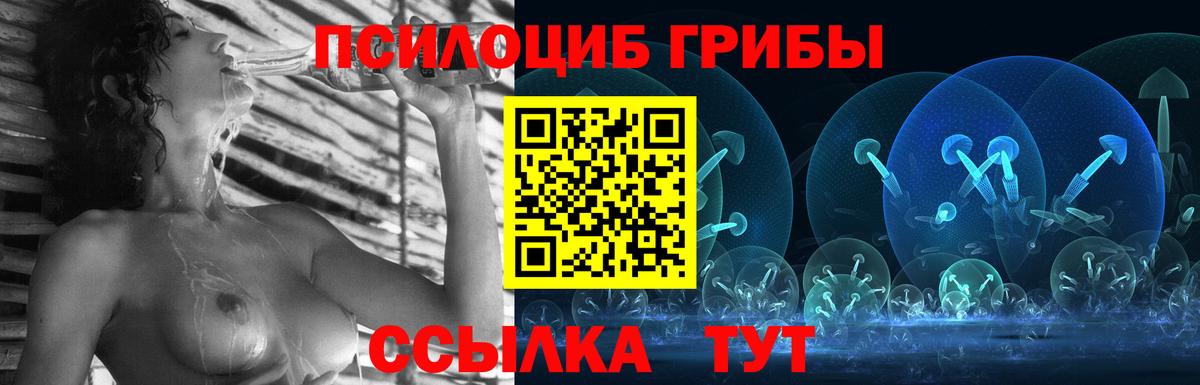 Псилоцибиновые грибы Psilocybine cubensis  Вход с VPN  Лесосибирск 